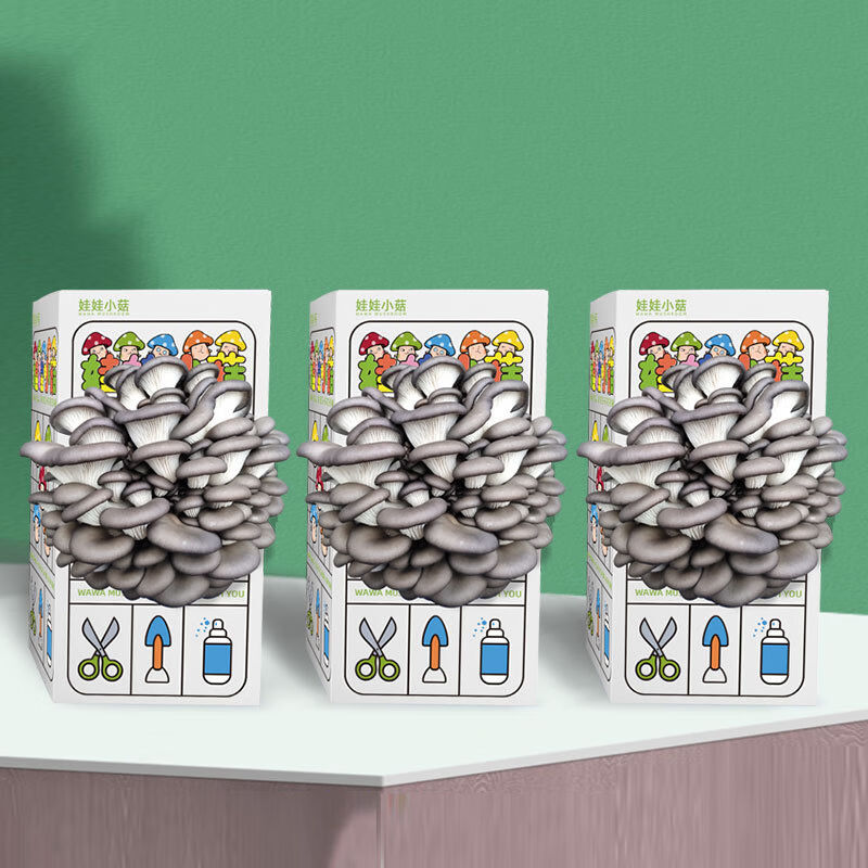 九千谷蘑菇盒子种植包平菇菌包食用盒装菌蘑菇种植菌包趣味3盒装9