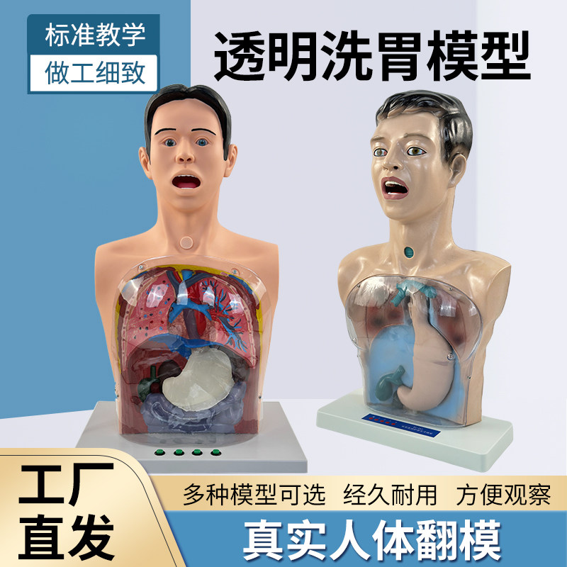 中华模型带警示透明洗胃机制教具