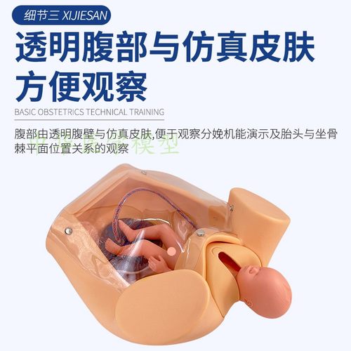 分娩模型人体模型中华教学