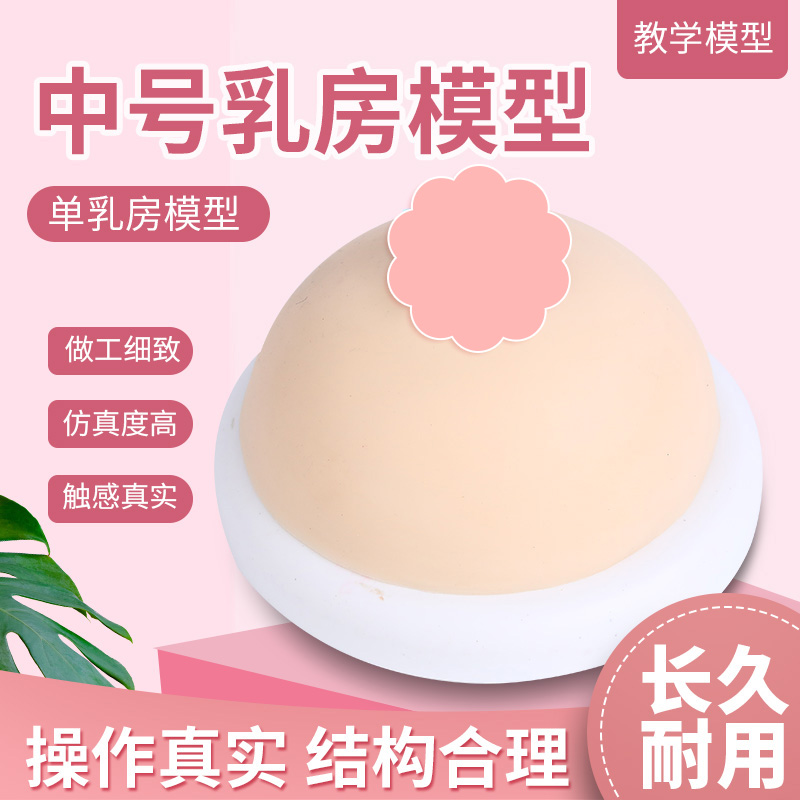 女性乳房 纯硅胶乳房模型 单个乳房哺乳模型催乳培训模型 催乳师