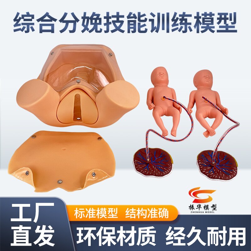 蓝蝶模型分娩综合技能训练教学