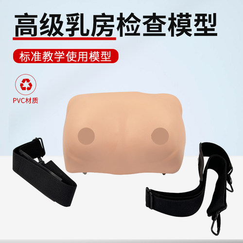 妇科检查女性乳房高级模型