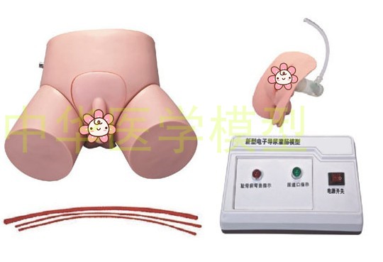 电子导尿及灌肠教学实习模型