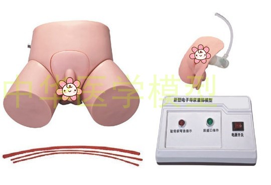 电子导尿及灌肠教学实习模型男/女导尿训练模型两性互换导尿