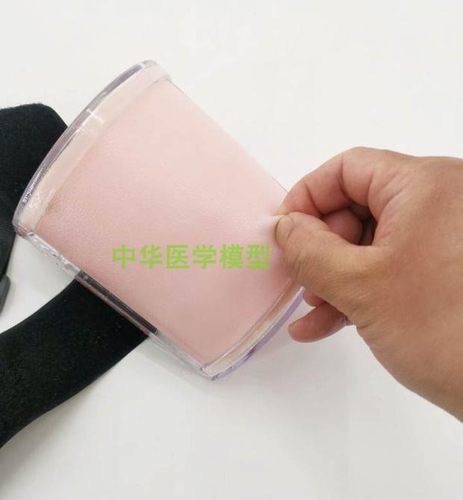 多功能肌肉注射训练模块