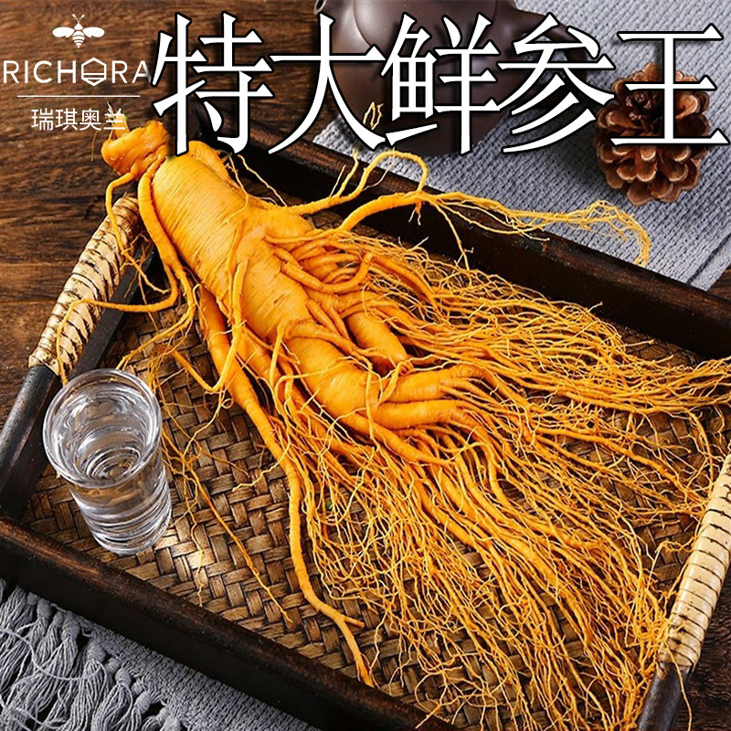 瑞琪奥兰人参长白山皂苷煲汤新鲜干老山野生参生晒高年份东北泡酒