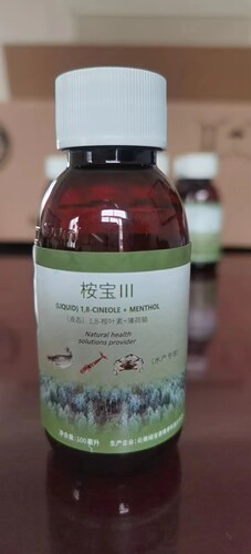 桉宝桉叶预防保健天然植物提取