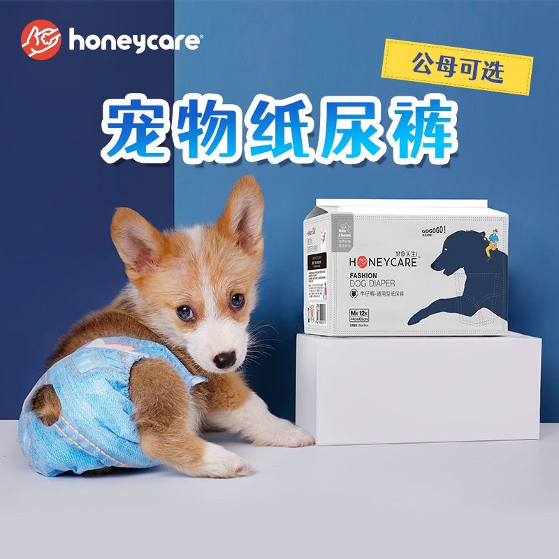 Honeycare狗狗生理裤公狗纸尿裤狗狗尿不湿宠物经期裤母狗姨妈裤