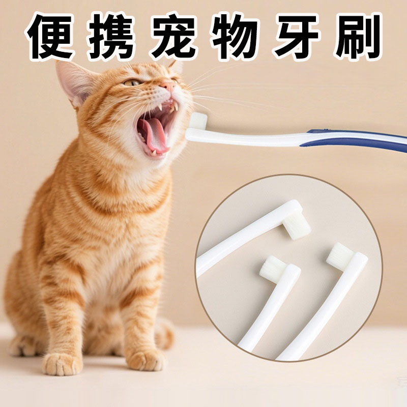 宠物牙刷猫咪狗狗刷牙小头软毛清洁口臭口腔清新牙膏口气牙齿牙具