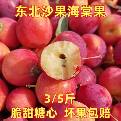东北沙果海红果海棠果脆甜糖心