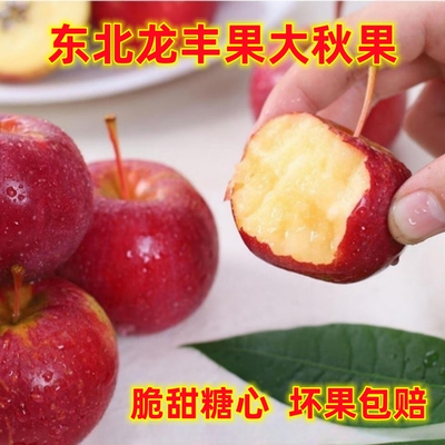 东北龙丰果海棠果新鲜酸甜龙凤果