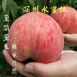 【送礼佳品】深州水蜜桃顺丰包邮特大果新鲜产地直发礼盒装产地