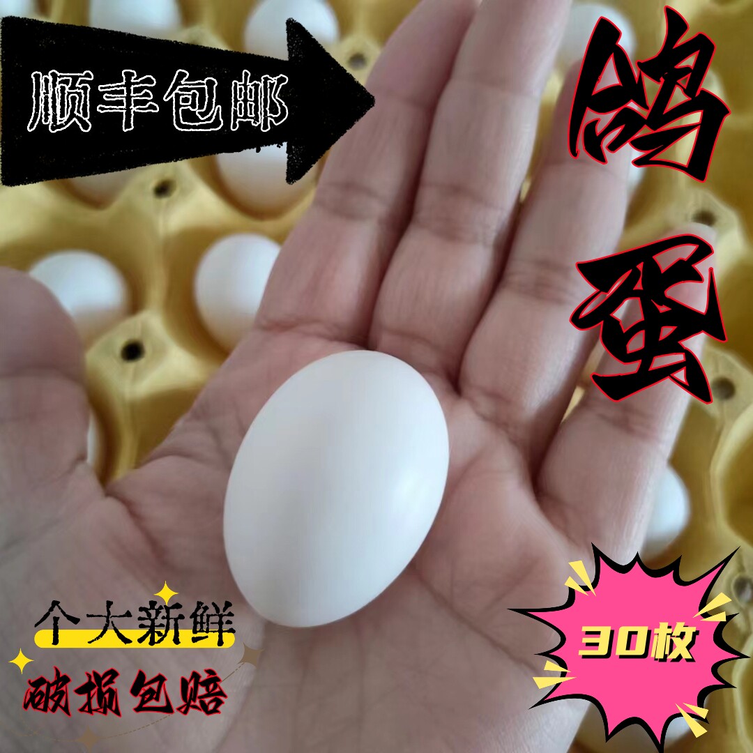 新鲜鸽子蛋30枚顺丰包邮农家特鸽蛋