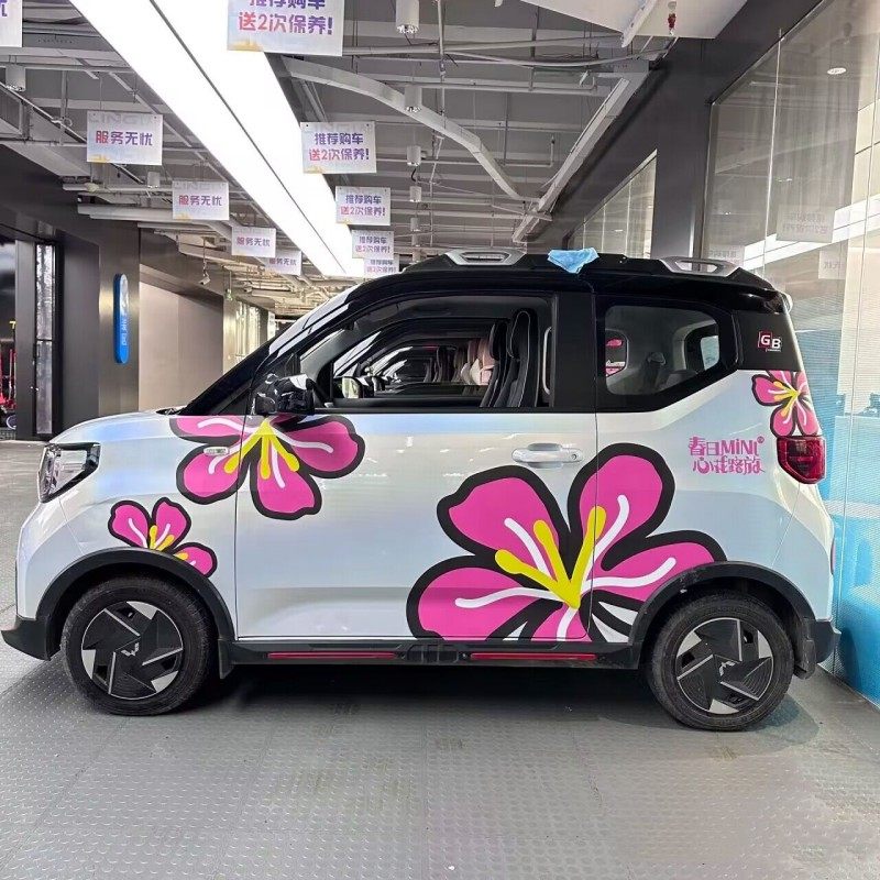 五菱宏光miniev紫荆花朵车贴GB熊猫mini冰淇淋潮改装饰拉花车身贴