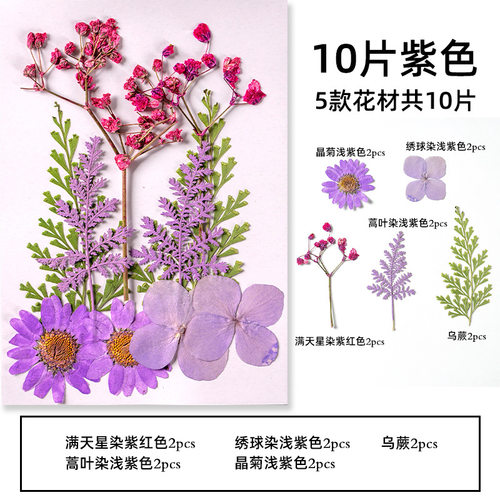 真植物干花押花标本手工滴胶diy