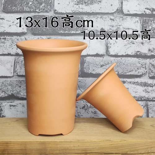 红陶风兰石斛兰吸水透气大底孔