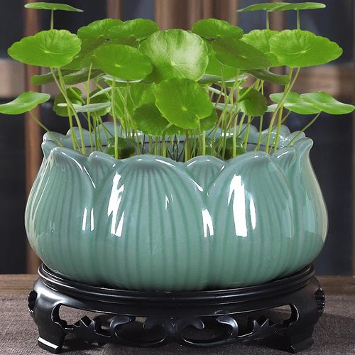 碗莲花盆陶瓷粗陶复古水培铜钱草一叶莲植物无孔水养金钱草绿植盆