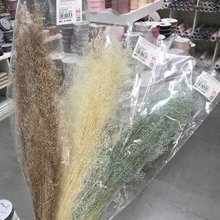 喷泉草粉黛乱子草永生花进口大地农园02833系列梦幻新娘头饰插花