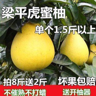 梁平柚子新鲜水果12斤包邮重庆农家特产孕妇应季纯甜小柚子虎蜜柚