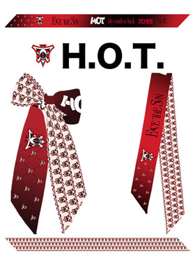H.O.T.演唱会应援丝巾绑包包发带领巾腕带发带原创设计粉丝物料