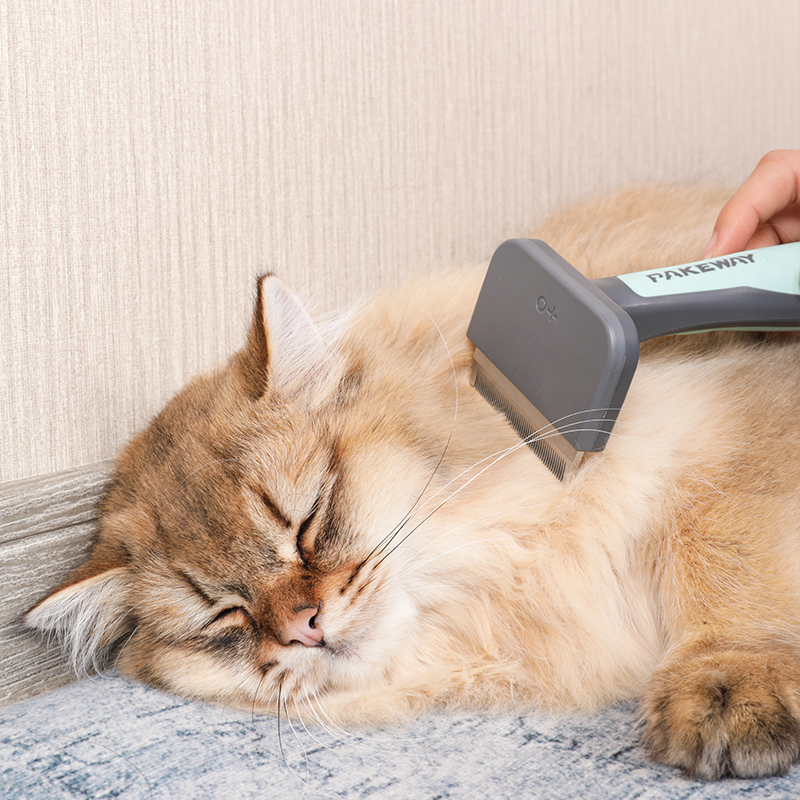 救星猫咪清理器用品梳毛刷