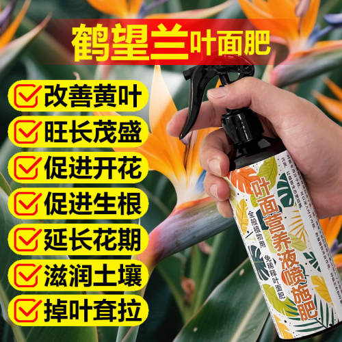 鹤望兰专用肥料盆栽植物营养液挺拔立直长新叶开花天堂鸟绿植肥料