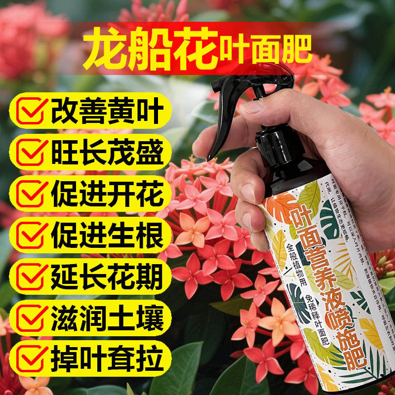 小叶龙船花专用肥料养殖树苗盆栽仙丹花水绣球土壤营养液叶面肥料