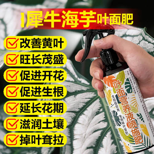 龙鳞大仙女白犀牛绿天鹅绒海芋专用营养液花盆栽植物喷剂叶面肥料