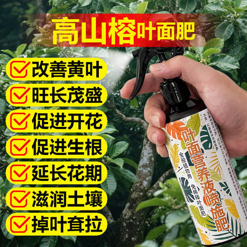 高山榕专用肥料室内绿植树苗土复合营养液叶面肥叶面肥水溶化肥料