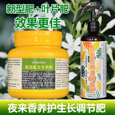 夜来香专用肥料养殖花苗盆栽树苗营养液落叶干尖发蔫卷曲叶面肥料