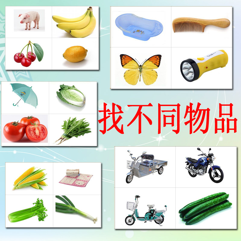找不同类别找不同类卡片自闭症发育迟缓aba训练教具器材玩具教材