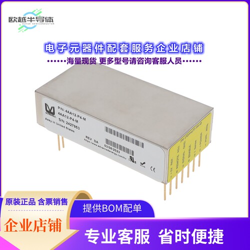 4AA12-P4-M[电源模块AA-SERIES DC TO HVDC CONVERTER,]