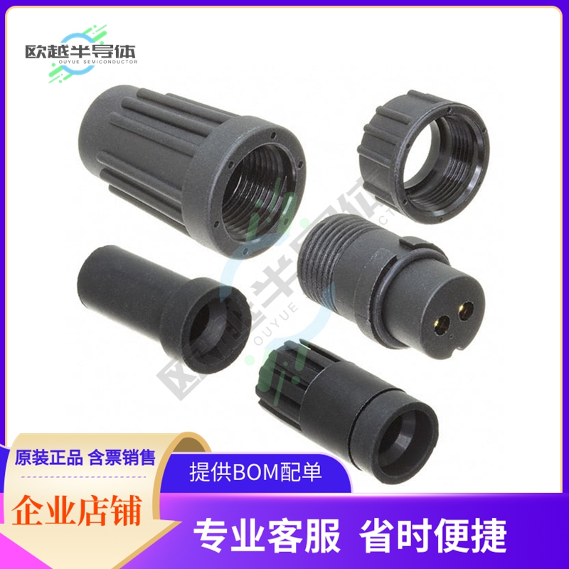 BB-02BFFA-SL6001【CONN PLUG FMALE 2P GOLD SLDR CUP】