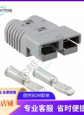 1604043-4【CONN PLUG 2POS IN-LINE CRIMP】