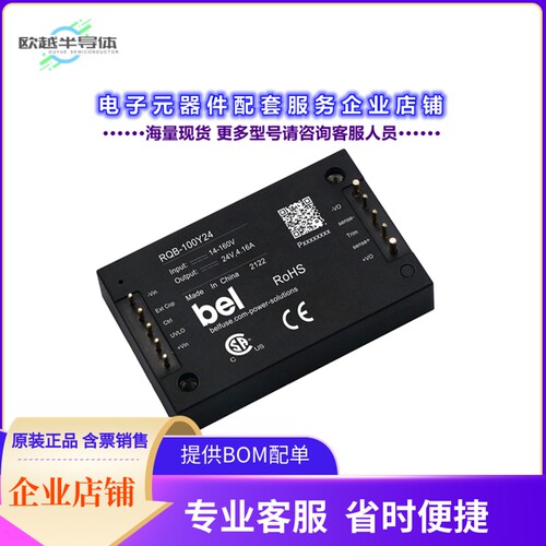RQB-100Y12C[电源模块DC-DC,14-160V INPUT, 12V/8.33A O]