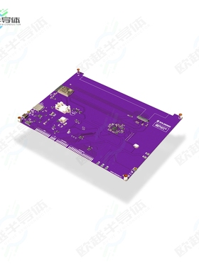 333243[开发板INKPLATE 10 WITHOUT EPD】