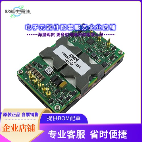 0RQB-C2Q12LG[电源模块DC DC CONVERTER 12V 156W]
