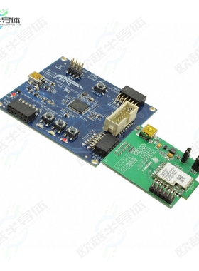 YWIRELESS-RX111[开发板RX111 EVAL BRD】