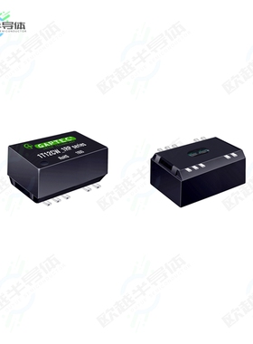 1T12CW_2405S1.5RP[电源模块ISOLATED MODULE DC DC CONVERTERS]