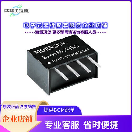 B0509M-2WR3[电源模块DC DC CONVERTER 9V 2W]