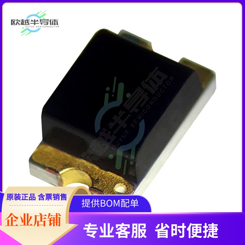 B17M1PD--H9B000114U1930【2.0(L)X 1. 3 (W)X 0 .8 (H) MM PD】