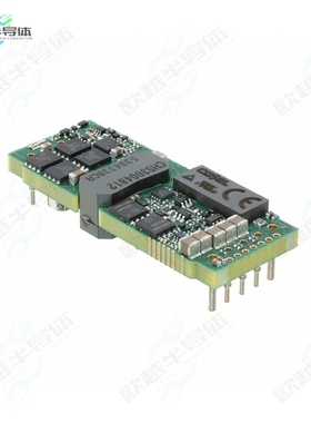 CHS3004810[电源模块DC DC CONVERTER 10V 300W]