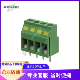 TYPE SCREW BLOCK RIGH TERMINAL 31065104