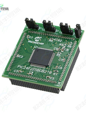MA240021[开发板MOD PLUG-IN PIC24FJ256GB210】