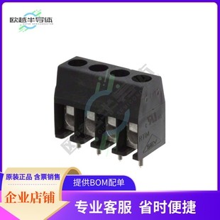 RIGH 31003104 BLOCK TERMINAL SCREW TYPE
