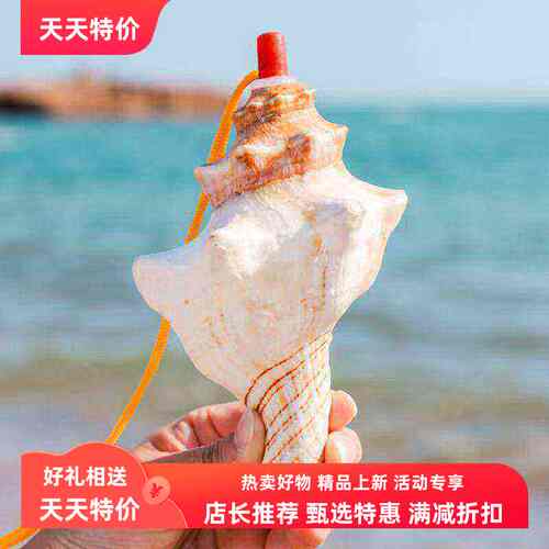 珊水天缘海螺号角聆听大海声音
