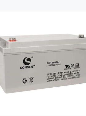 CONSEN蓄电池GS12V65AH 12V65AH直流屏UPS电源逆变器 太阳能