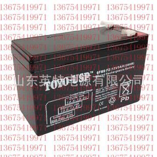 东洋蓄电池12V9AH 6FM9 F2免维护蓄电池TOYO-USP阀控式蓄电池