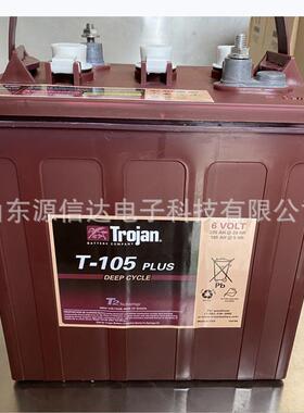 美国蓄电池T105 PLUS动力型6V225AH升降机 高尔夫球车