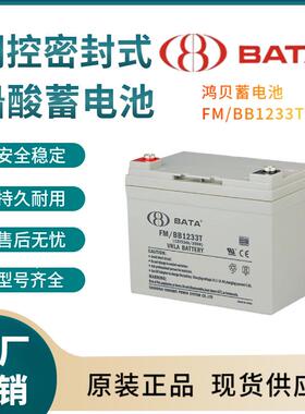 FM/BB1233T 12V33AH 现货供应  参数规格